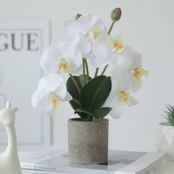 1PC Simulazione 8 teste Phalaenopsis Orchidea Fiori finti Real Touch Bouquet Home Office Vaso decorativo Disposizione floreale fai da te