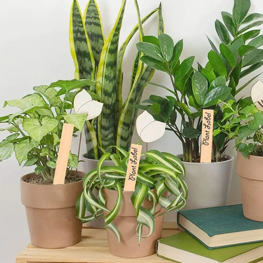 

1 комплект деревянных садовых этикеток, прочные портативные пустые вкладки для растений «сделай сам», для ландшафтного дизайна, детских садовых любителей садоводства