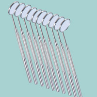 10Set Dental Mouth Mirror Reflector Dentist Equipment Dental Mouth Mirror Oral Care Kit with 10 Handles
