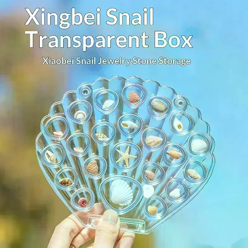 1 Set Transparent Sea Shell Display Cabinet Acrylic Shell Shape Storage Box Mini Beach Stone Decorative Storage Frame