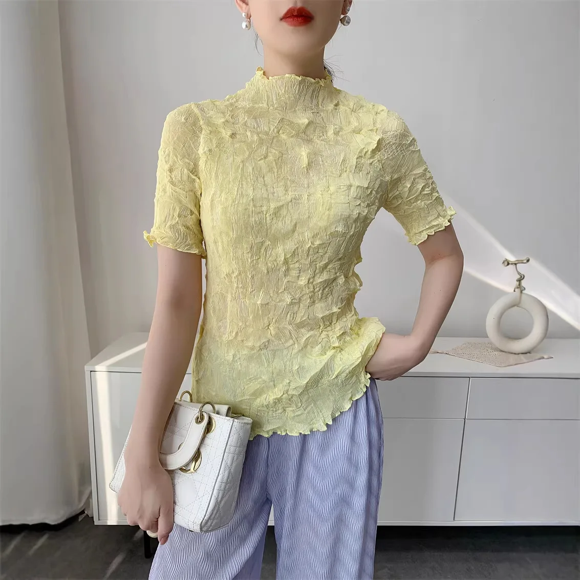 

Miyake Women's Lightweight High Elastic Women's Long Sleeve T-shirt Stand Collar Slim Casual Semitransparent Pullover Top 5307