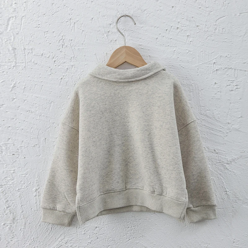 Kinder kleidung Jungen und Mädchen Baumwolle Plüsch warme Sweatshirts Herbst Winter neue Kinder Revers lässig lose Langarm pullover – Detail 14