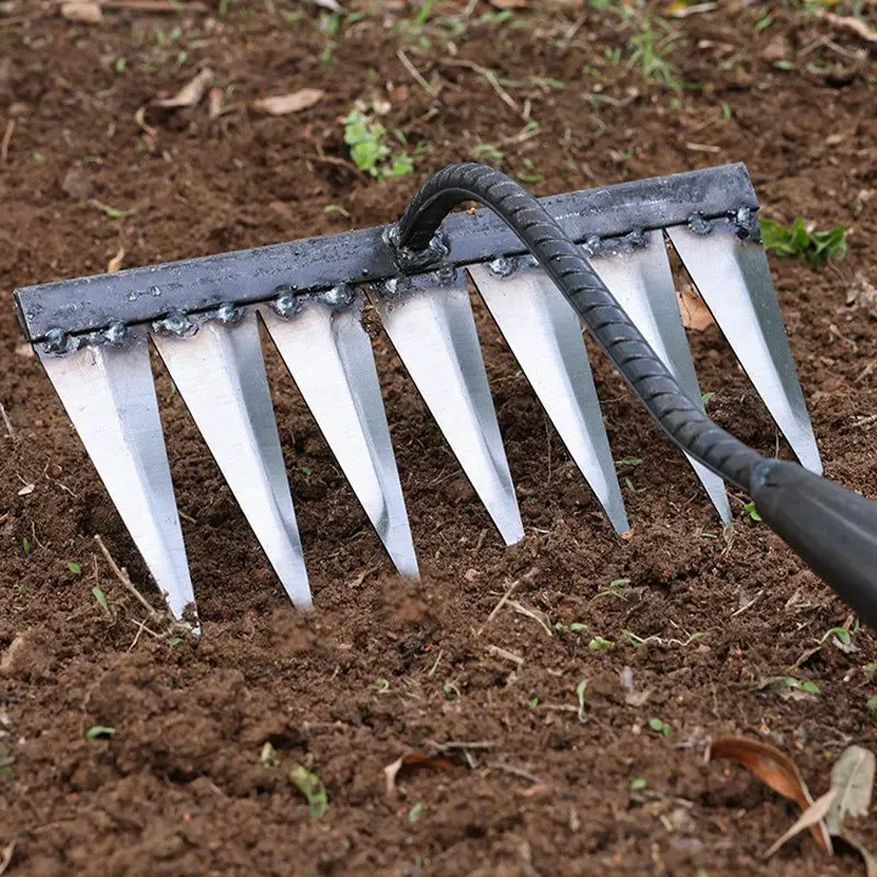 Imagem -04 - Carbon Steel Garden Hand Rake Farm Tool Weeding Scarifier Agricultural Nail Harrow Metal Garden Weedingtool Dentes Dentes Dentes Dentes