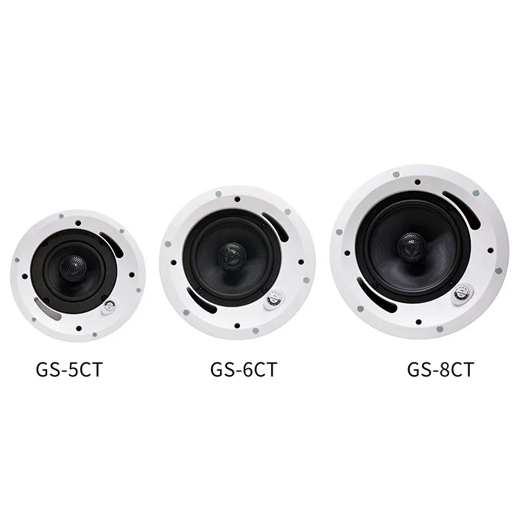 2025 Thinuna Gs Ser…