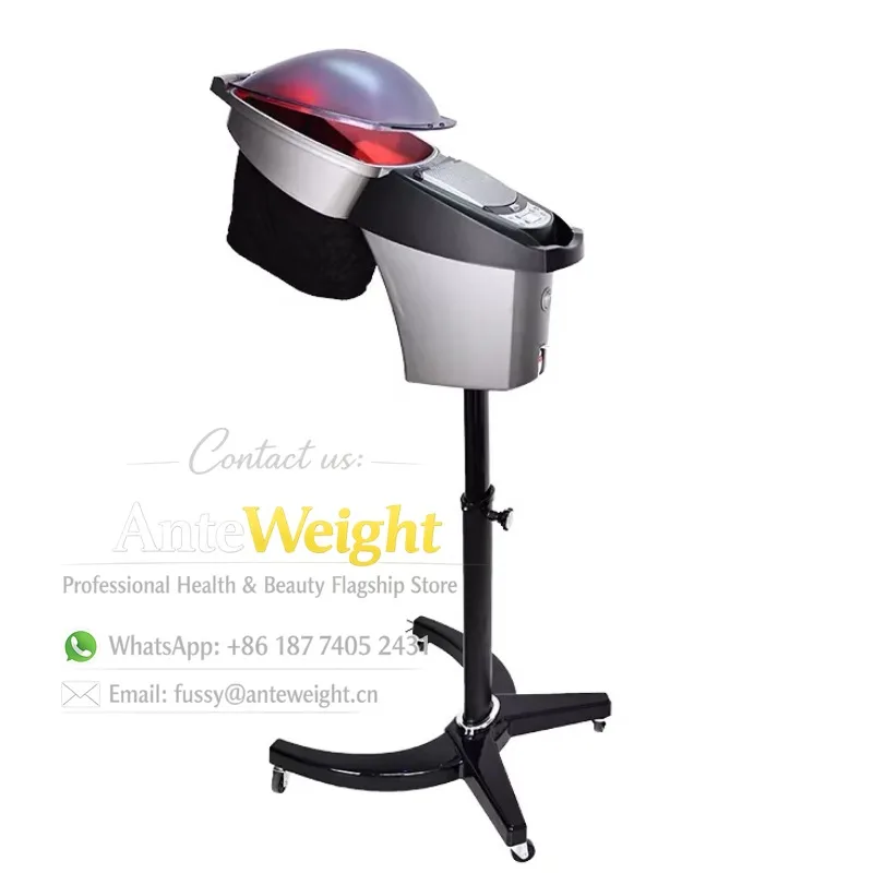 Professional O3 Ozone Micro Mist Hair Steamer with Salon Red/Blue LED Lights Hair Treatment Steam Feature
