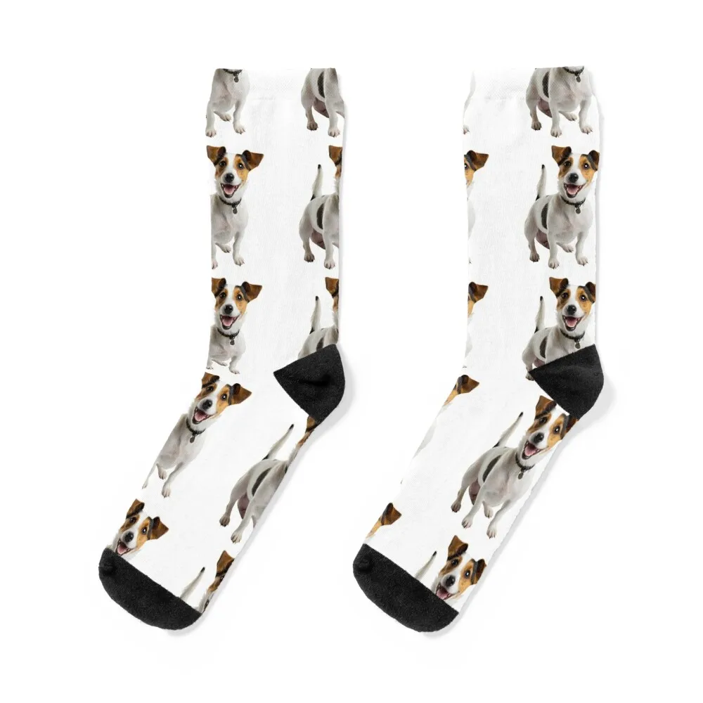 

Jack Russell Terrier - Dogs, Pets Socks sports stockings new in's Stockings compression aesthetic Male Socks Women's