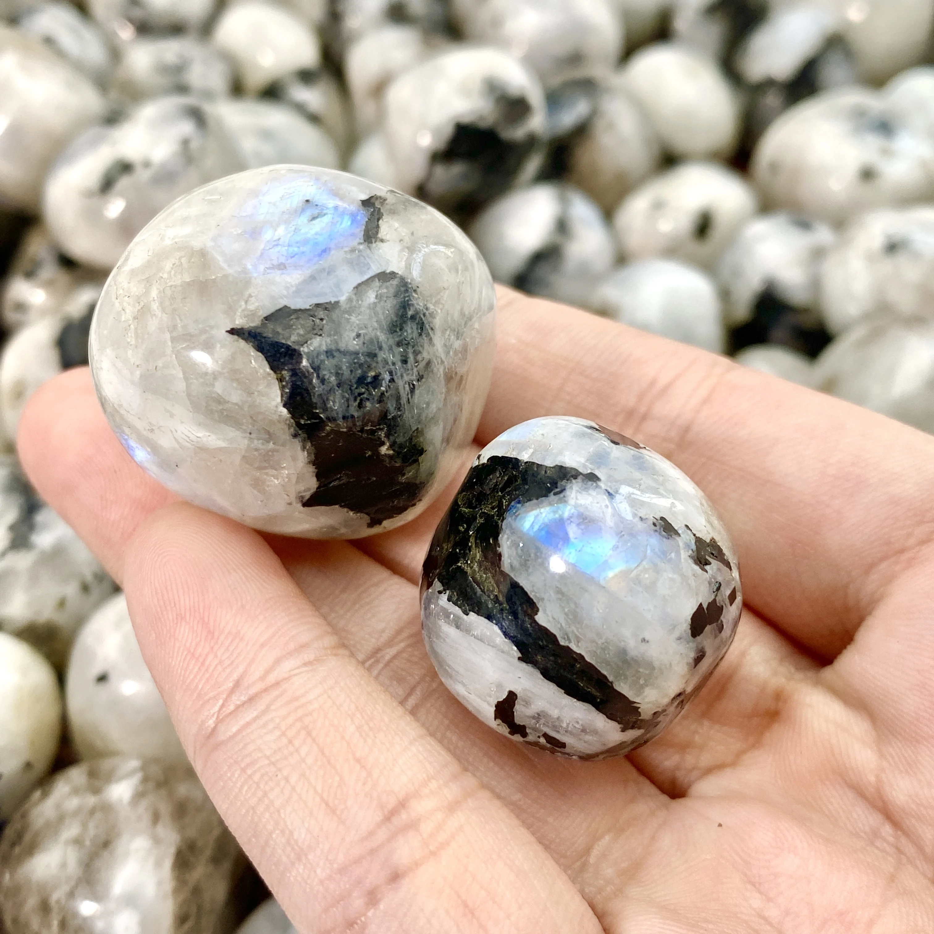 5PCS 10-30mm Rainbow Moonstone Tumbled Stones,Flower Pot Fish Tank Decor,Gift,Home Decor, DIY Decorations,Courtyard Decor