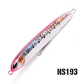 NS193