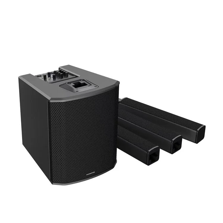 Professional Active Outdoor Concert Sound System with for 500W+500W RMS Portable Titanium Diaphragm PA System
