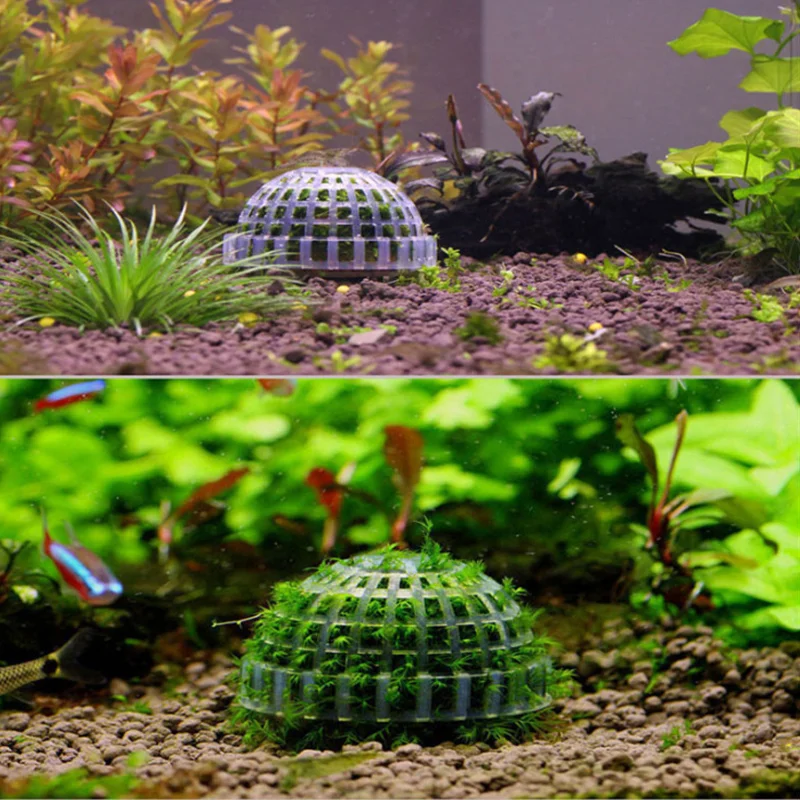 Moss and Water Grass Planting Hemisphere Fish Tank Landscape Decoration Aquarium Filter image 2
