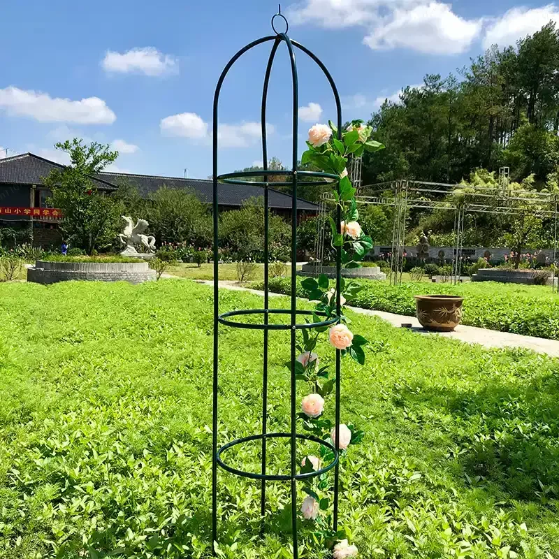 JMZ Cylindrical Metal Plant Climbing Stand  Indoor Garden Flower Pot Support for Roses, Clematis & Vines, 1 Pack