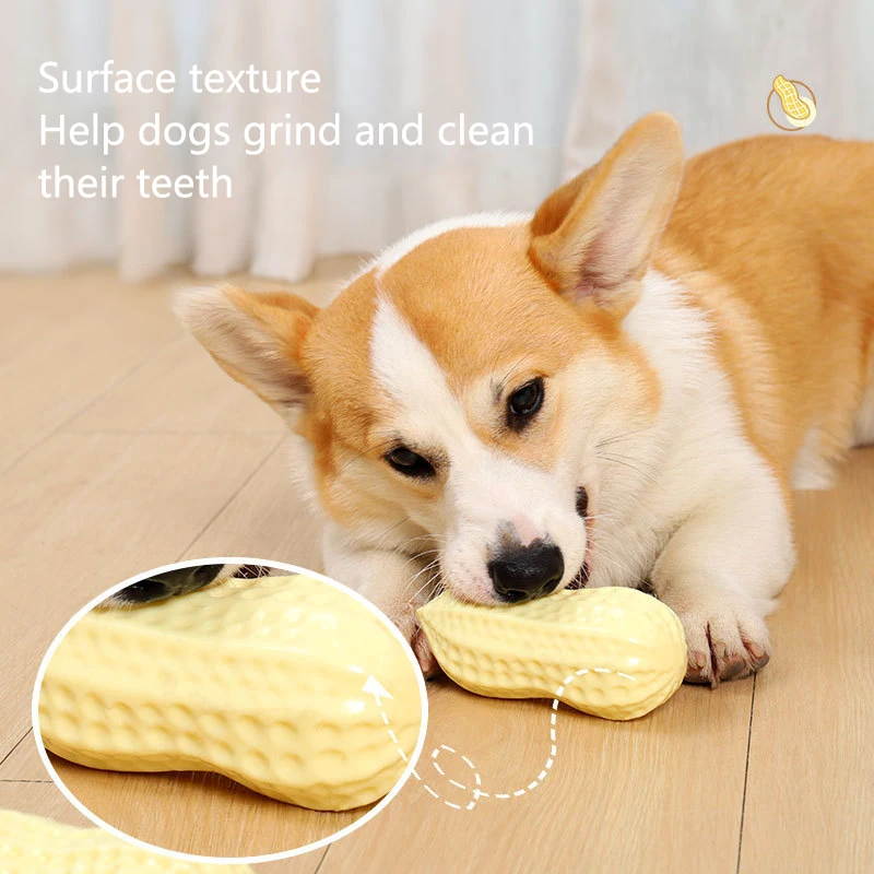 ยางไวนิลถั่วลิสงสุนัขของเล่นสําหรับสุนัขขนาดเล็กความยืดหยุ่น Chew ความเบื่อบรรเทาของเล่นทําความสะอาดฟันเสียงของเล่นสัตว์เลี้ยง Stuff อุปกรณ์เสริม