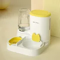 Yellow B
