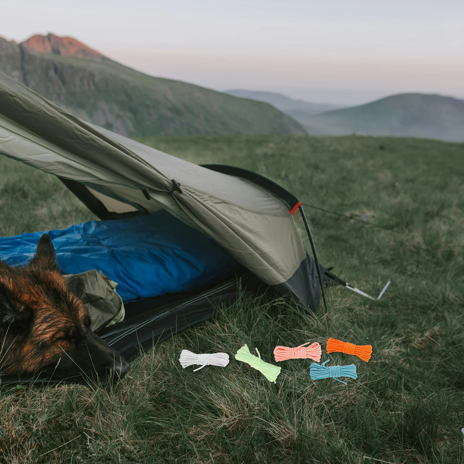 5 قطعة حبل خيمة عاكسة الثقيلة البوليستر التخييم في الهواء الطلق الحبل متعددة الوظائف مقاومة للاهتراء حبل لقطب الخيمة مرونة #5