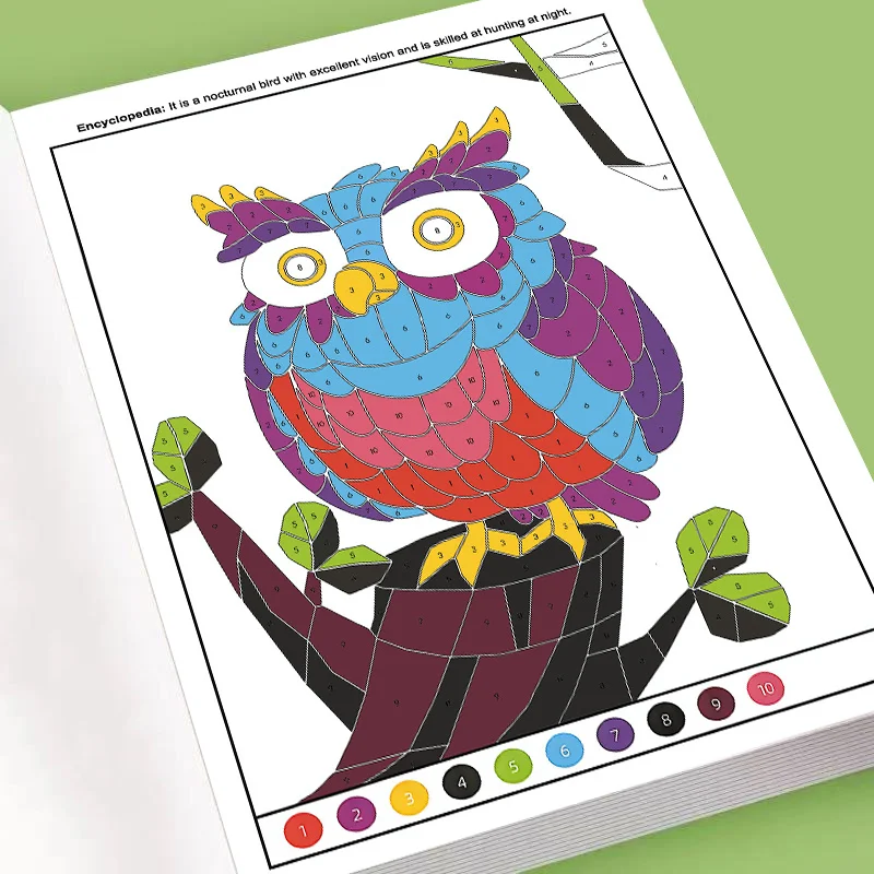 Concentration Training Coloring Book, Geometric Owl Pattern Stress Relief Coloring Pages, Focus & Observation Activity Book