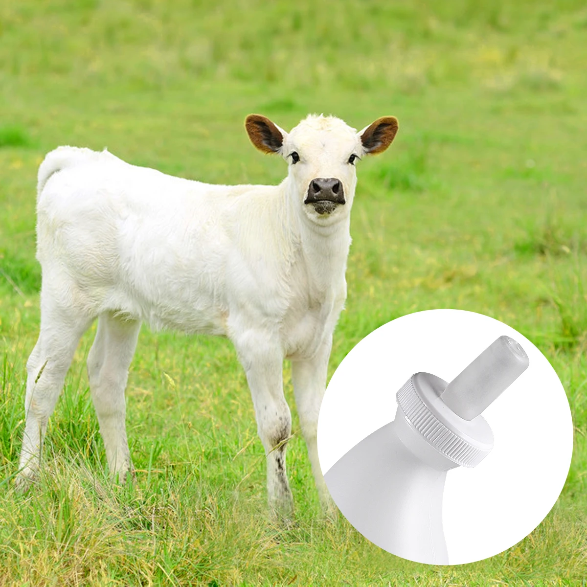 

2pcs Silicone Lamb Feeding Bottle High Temperature Resistance Large Capacity Farm Animal Feeder For Sheep Cattle Goat Pet