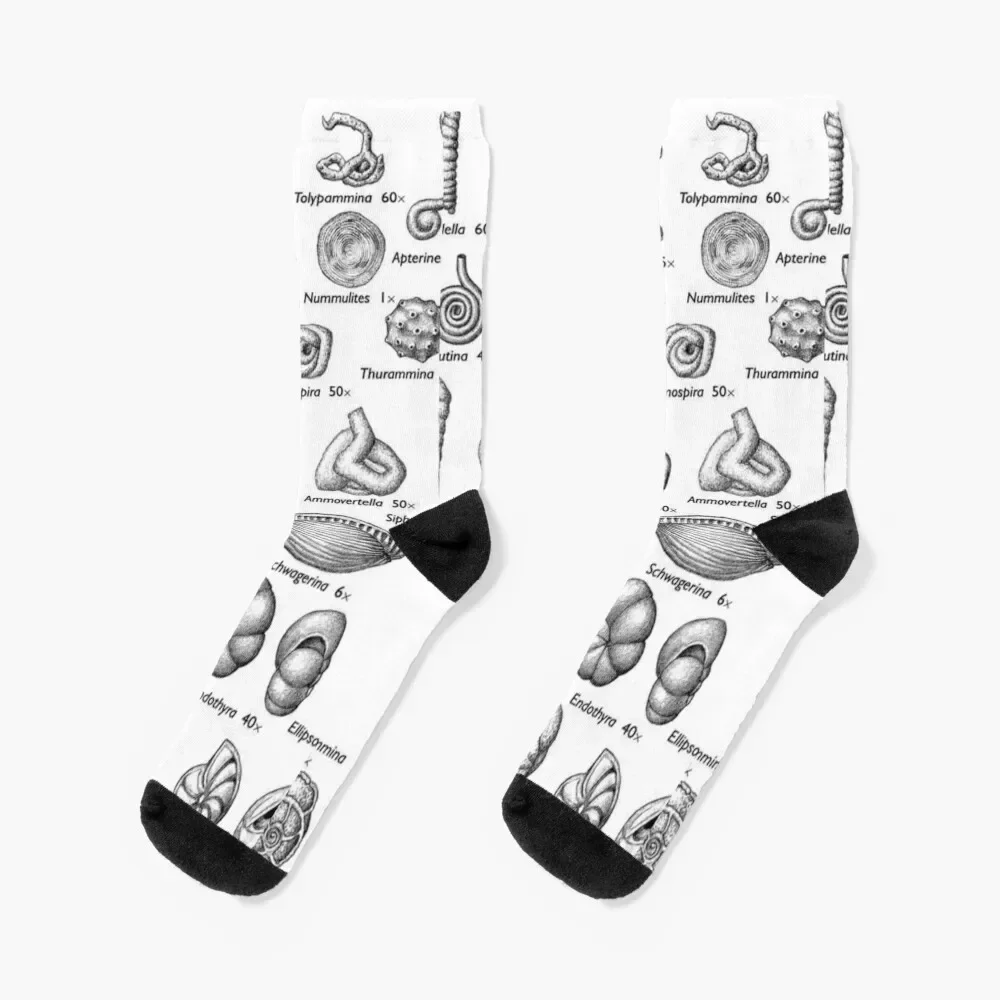 Fossils, paleontologists Socks halloween Rugby Ladies Socks Men's