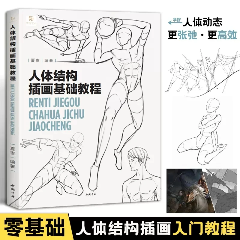 A Basic Tutorial on Human Body Structure Illustration Art Book Dynamic structure Techniques For Human Body Sketching