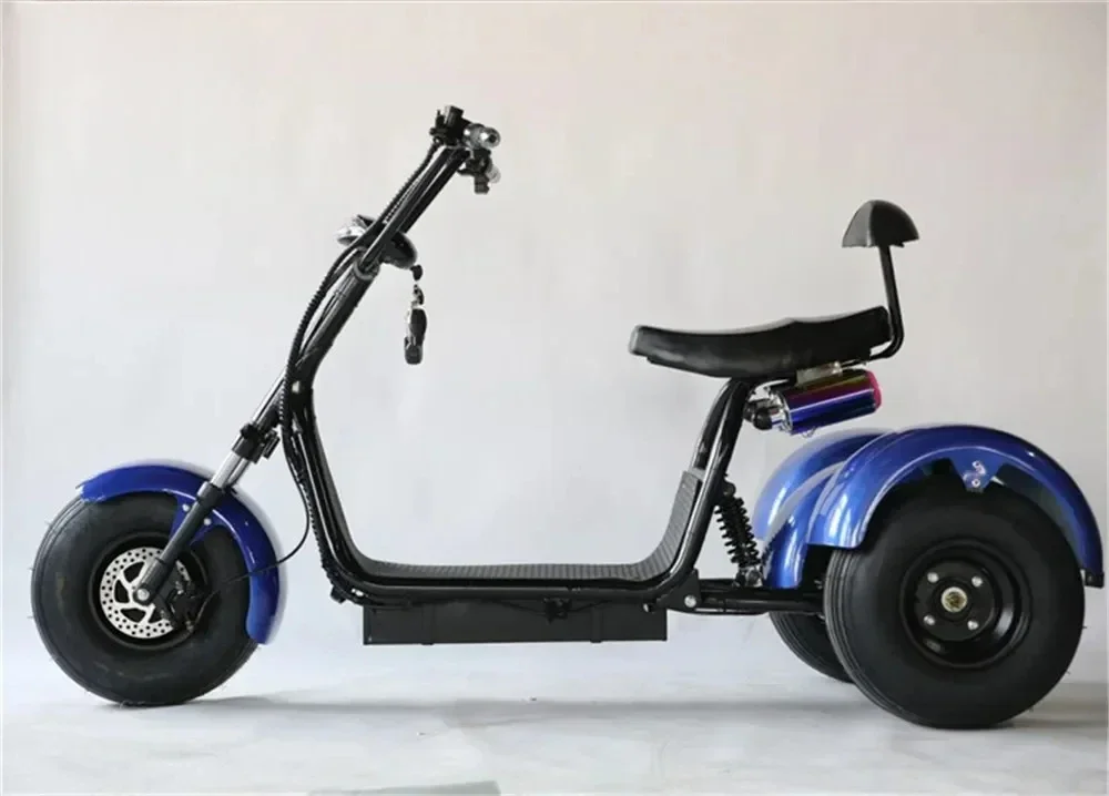 Three Wheels Big Tire Trike Adult Tricycle Citycoco 3 Wheel Electric Scooter 1500W/2000W Fat Bike Tire