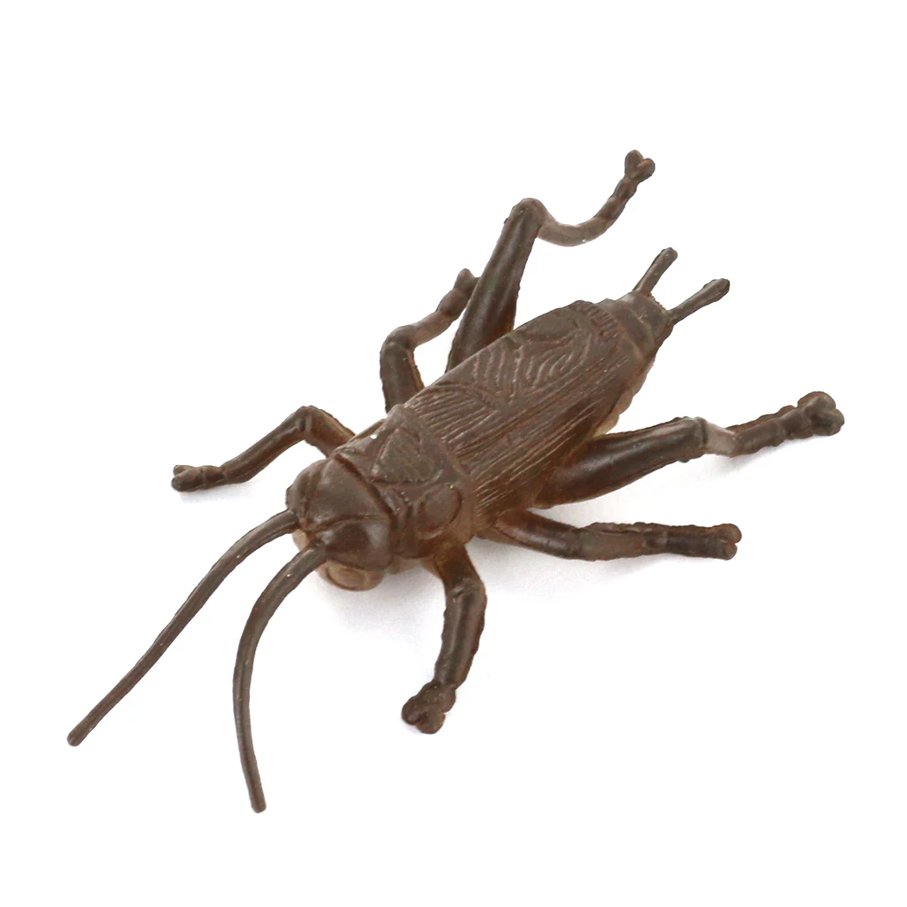 12 قطعة من البلاستيك الصلب نموذج حيوانات مختلف شخصيات عرض ملونة ألعاب أطفال أدوات تعليمية مضحكة