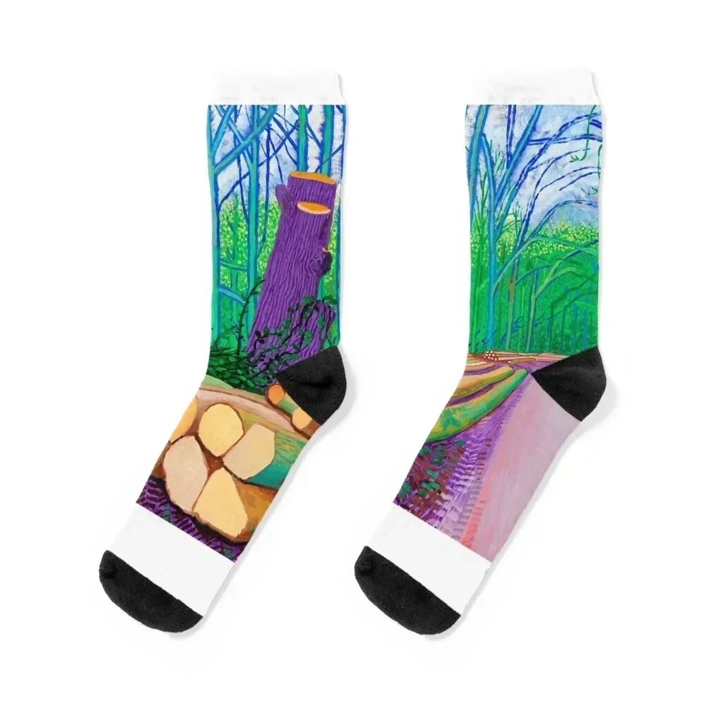 David Hockney Exhibition Art David Hockney Inspired Art Prints Socks sheer man sports stockings floral Socks Woman Men's