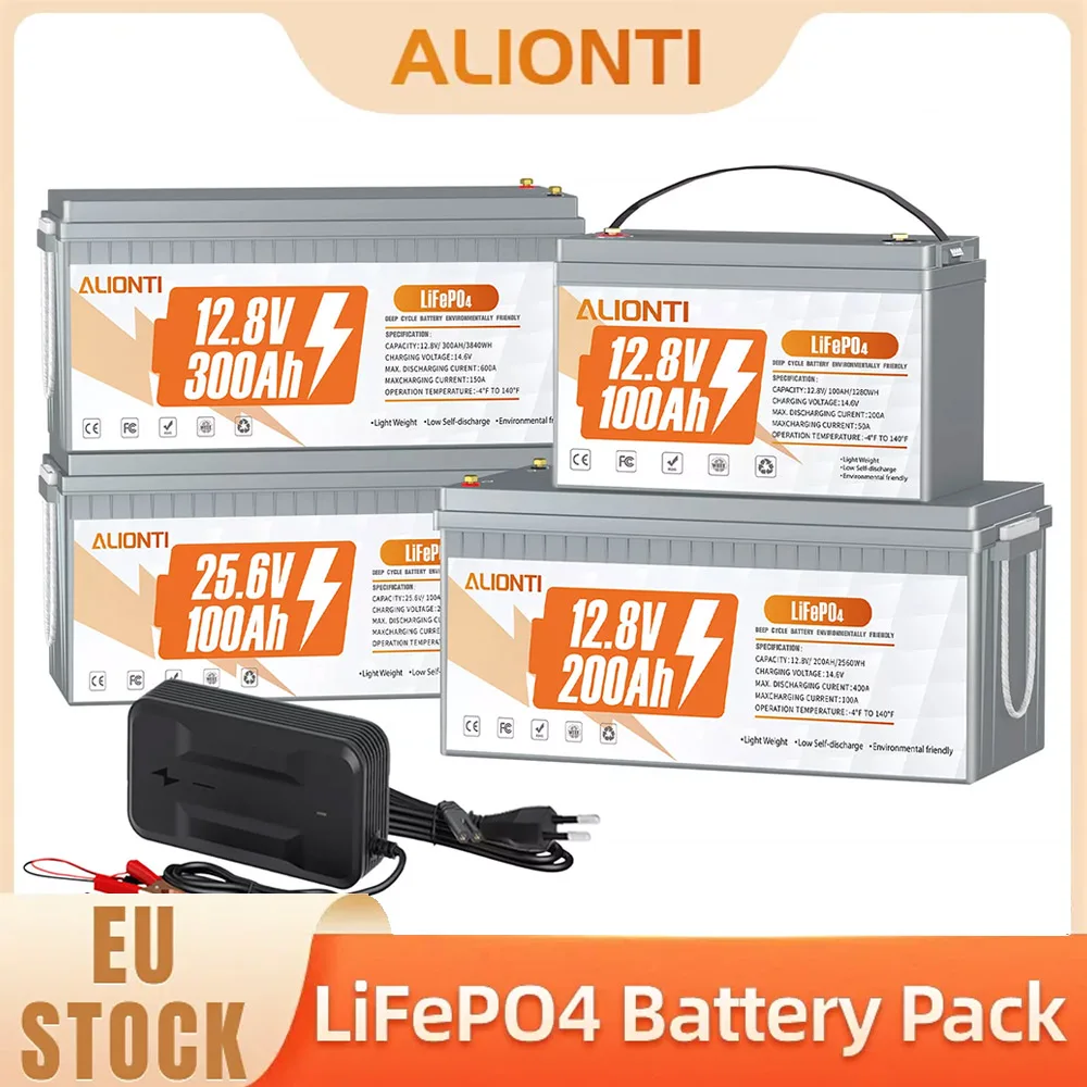 

LiFePO4 Battery Pack 12V 100Ah 200Ah 300Ah 24V 100Ah Lithium Iron Phosphate Battery Built-in BMS Rechargeable for Camper Solar