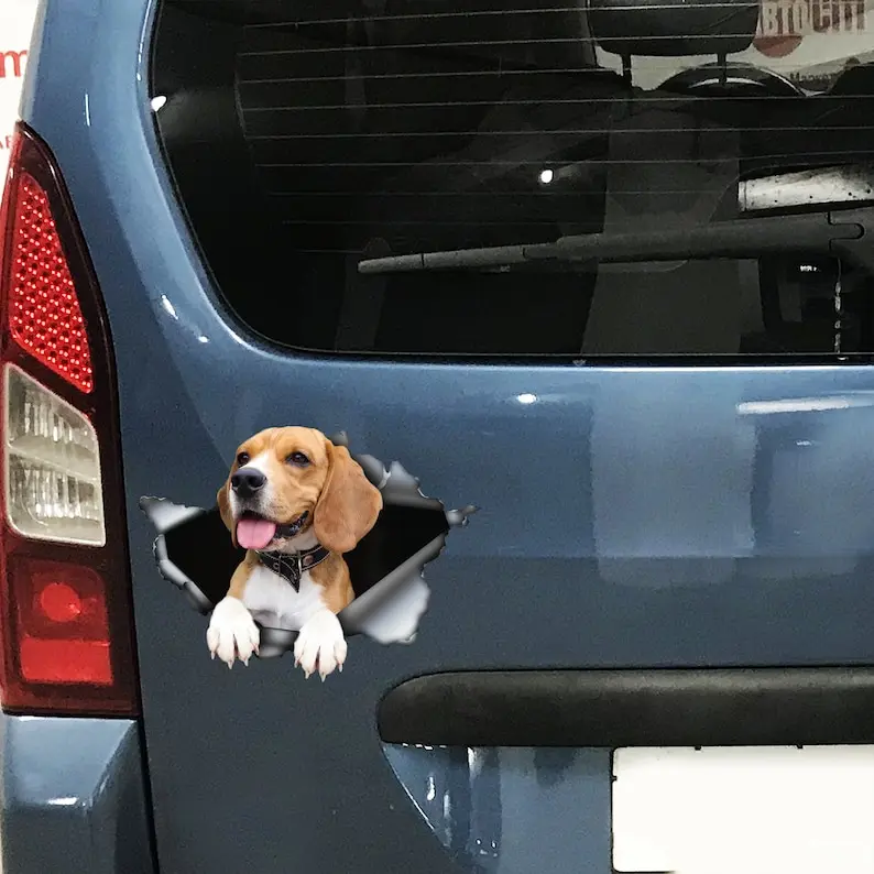 Funny car decal, Beagle decal, Beagle magnet, Beagle sticker, car decoration,car print