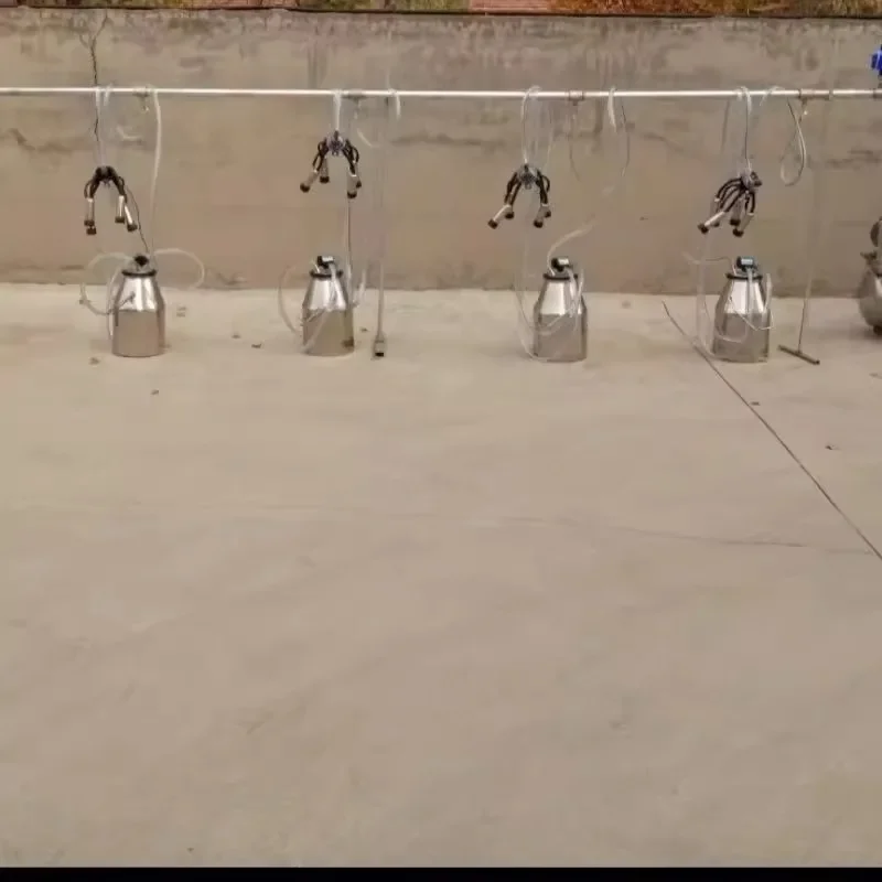 Milking machine Cow  machine Sheep  machine Barrel Multiple milking machines  device
