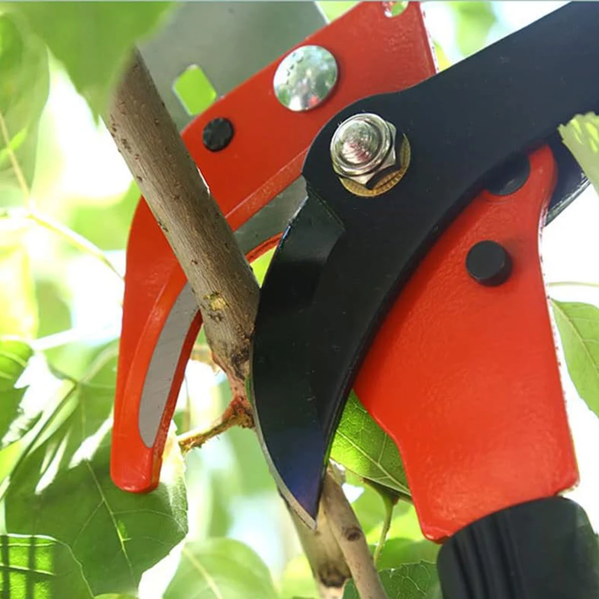 High Altitude Pruning Shears Gardening Supplies For Garden Tools and Equipment Kit the Set Orchard Tree Cutting Scissors - view 5