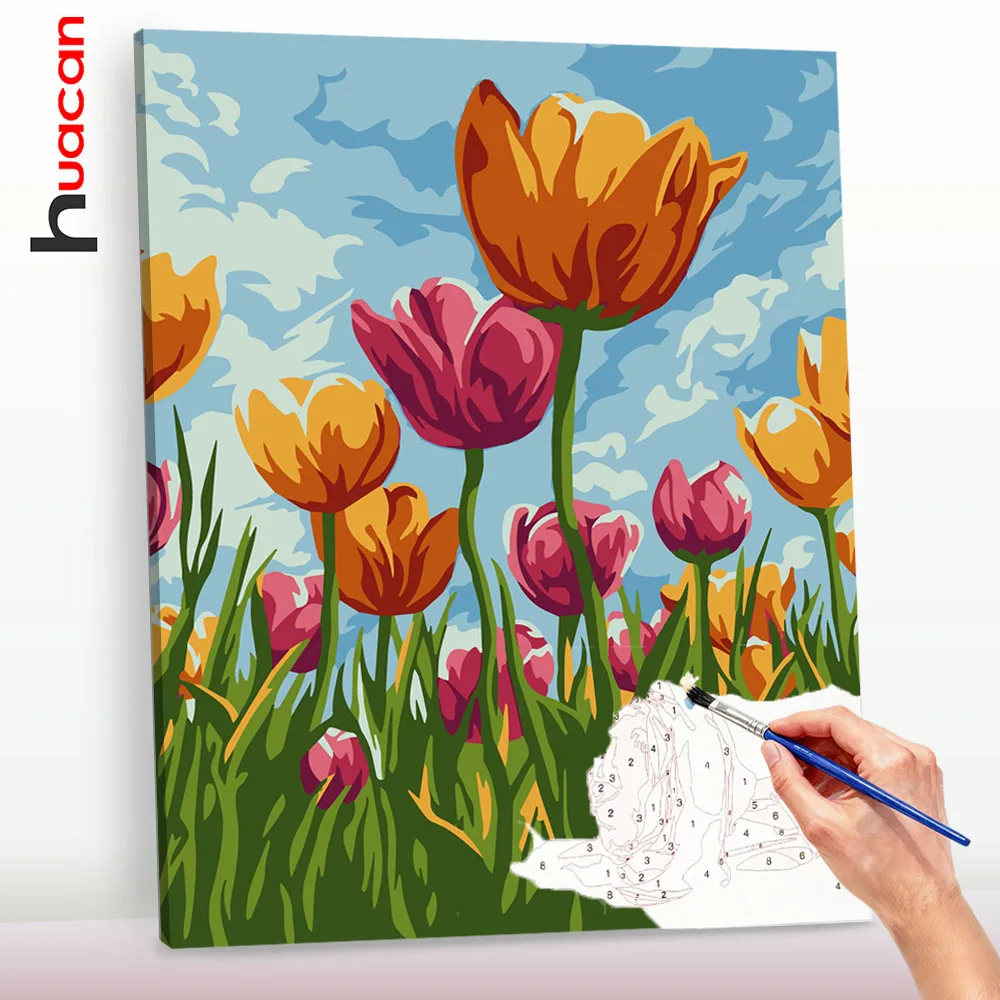 Huacan Diy Digital …