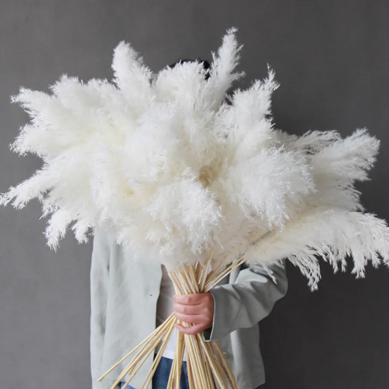 Artificial Pampas Dried Flower Boho Decorative Flowers Home Party Table Flower Arrangement Wedding Decor Fluffy Reed Grass