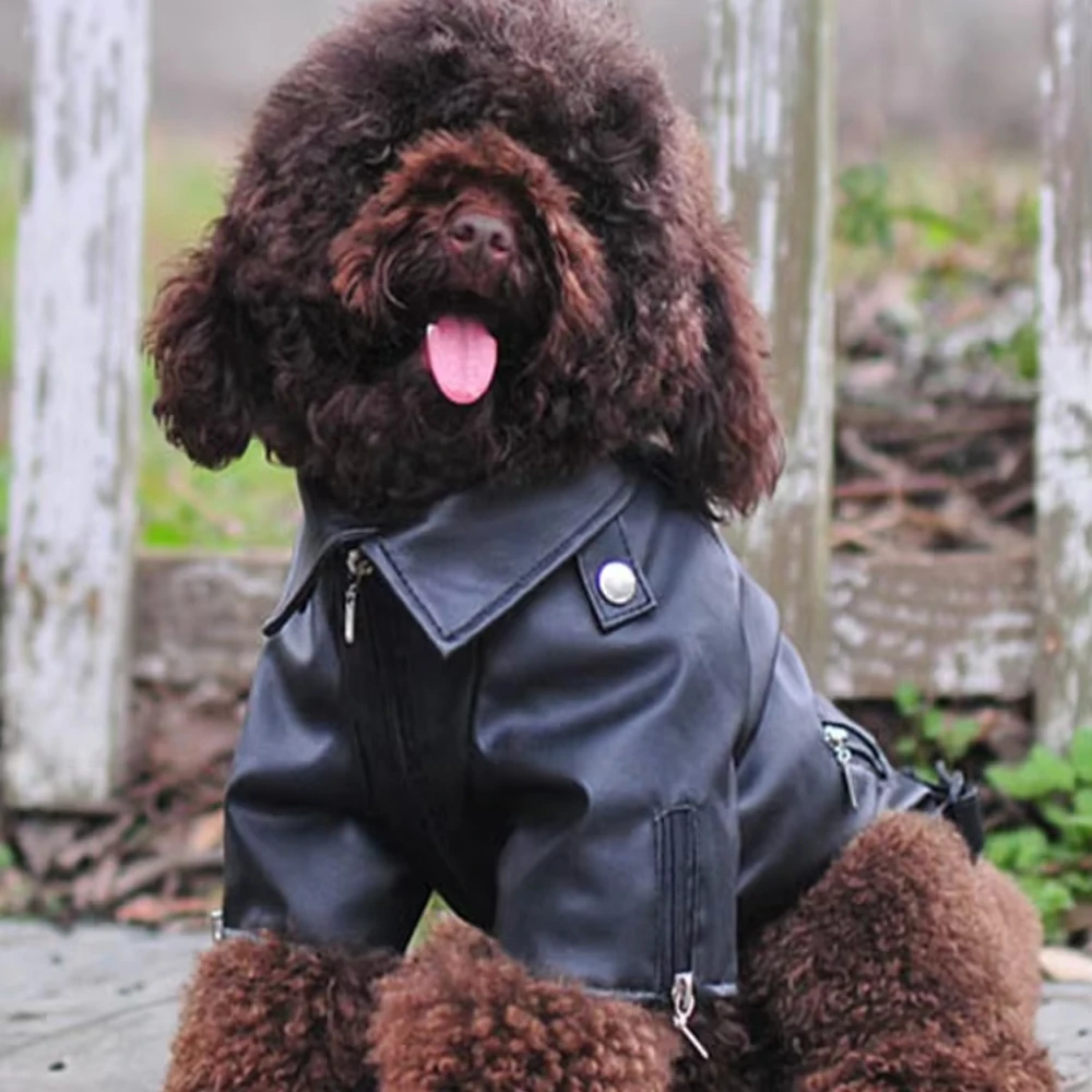 Thumbnail 2 - #1 New Waterproof Puppy Jackets Arrivals