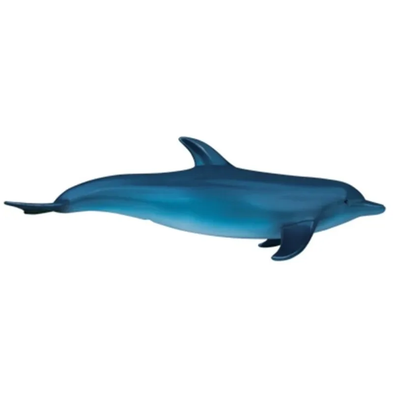 4D Vision Dolphin Organ Anatomy Model Animal Puzzle Toys for Kids and Medical Students Veterinary Teaching Model