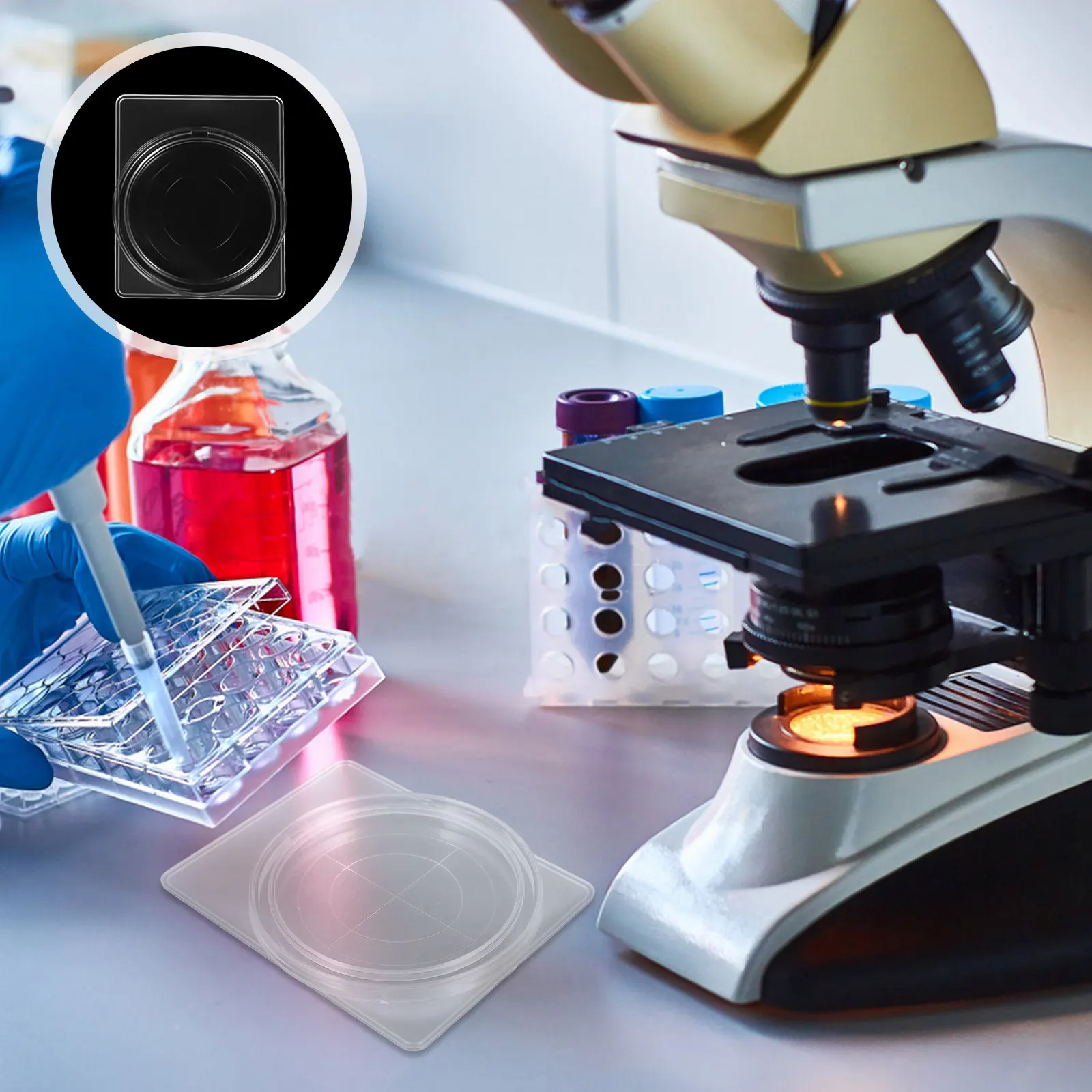 

Plastic Lab Sample Box for Environmental Filter Detection Storage Robust Construction Protects Membranes from Damage Versatile