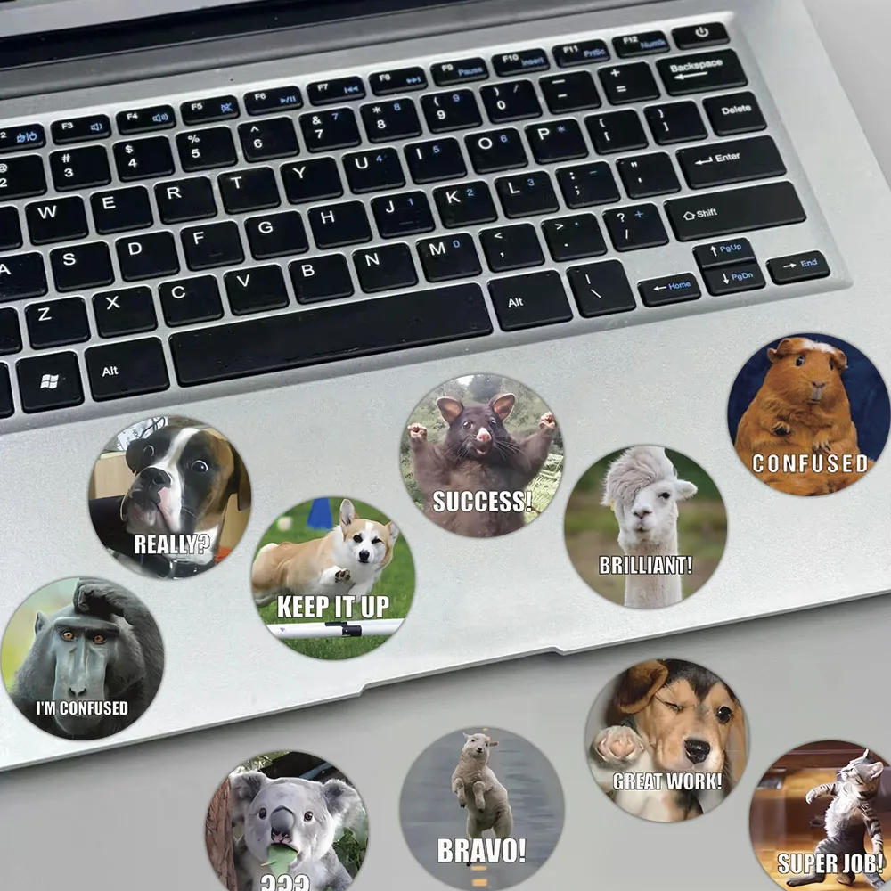 500PCS Animal Expression Funny Stickers Realistic Polka Dot Desktop Stationery Storage Box Phone Case Decorative Stickers