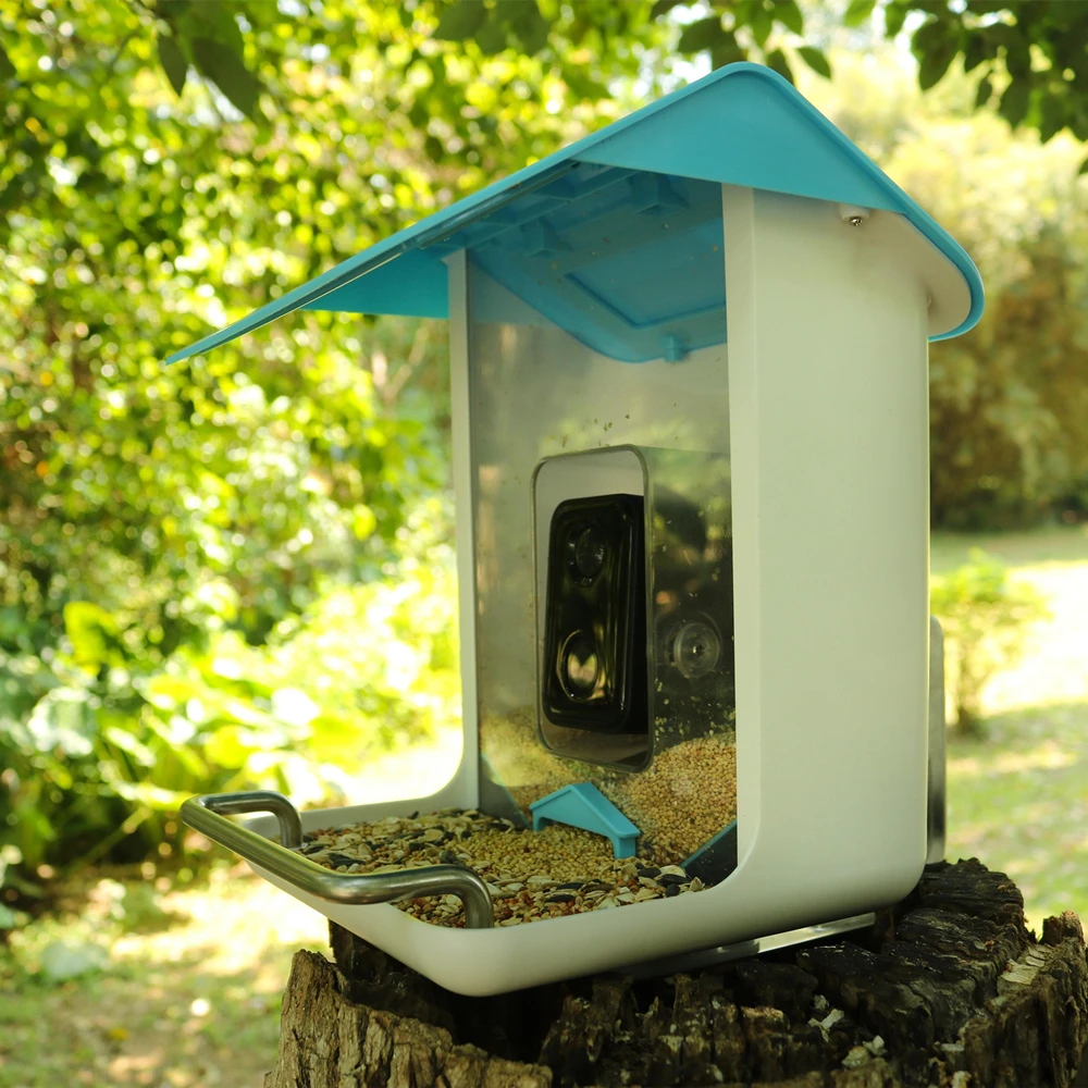 

Wild Bird House Camera Wireless Artificial Intelligence To Identify Bird Species Automatically Capture