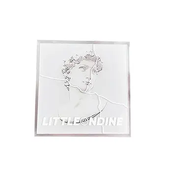 Little Ondine 塑形高光修容多功能彩妝盤,閃亮提亮,打造光彩妝容 10 最佳銷售 小奧丁 - №5