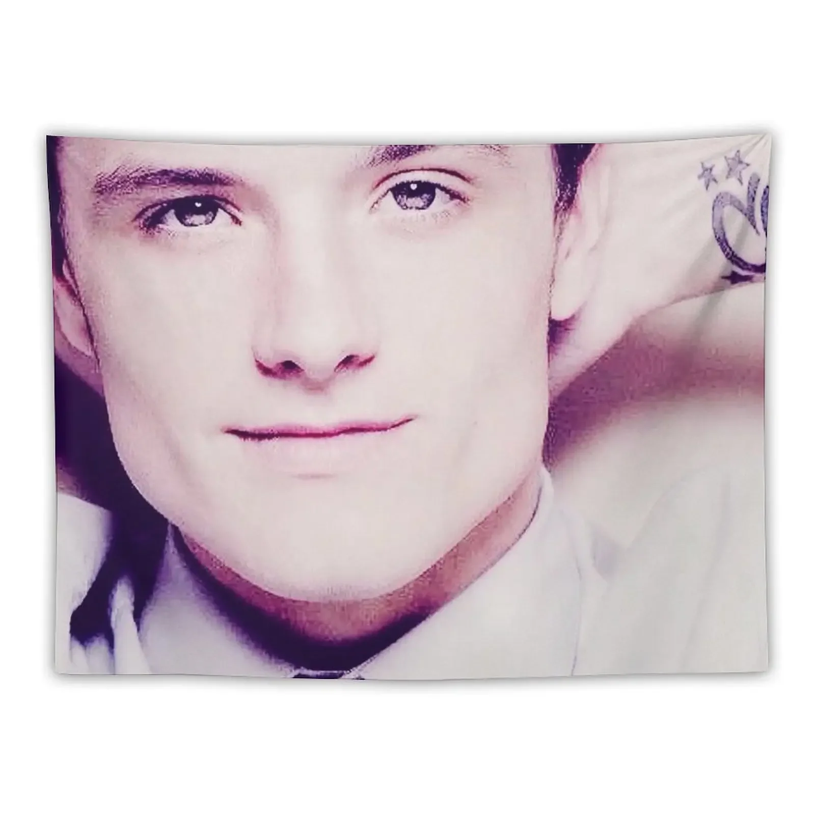 

Josh Hutcherson Whistle meme Tapestry Outdoor Decoration Japanese Room Decor Decorative Wall Murals For Bedroom Tapestry