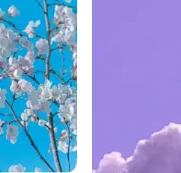 For Toyota Ist 2002… - image