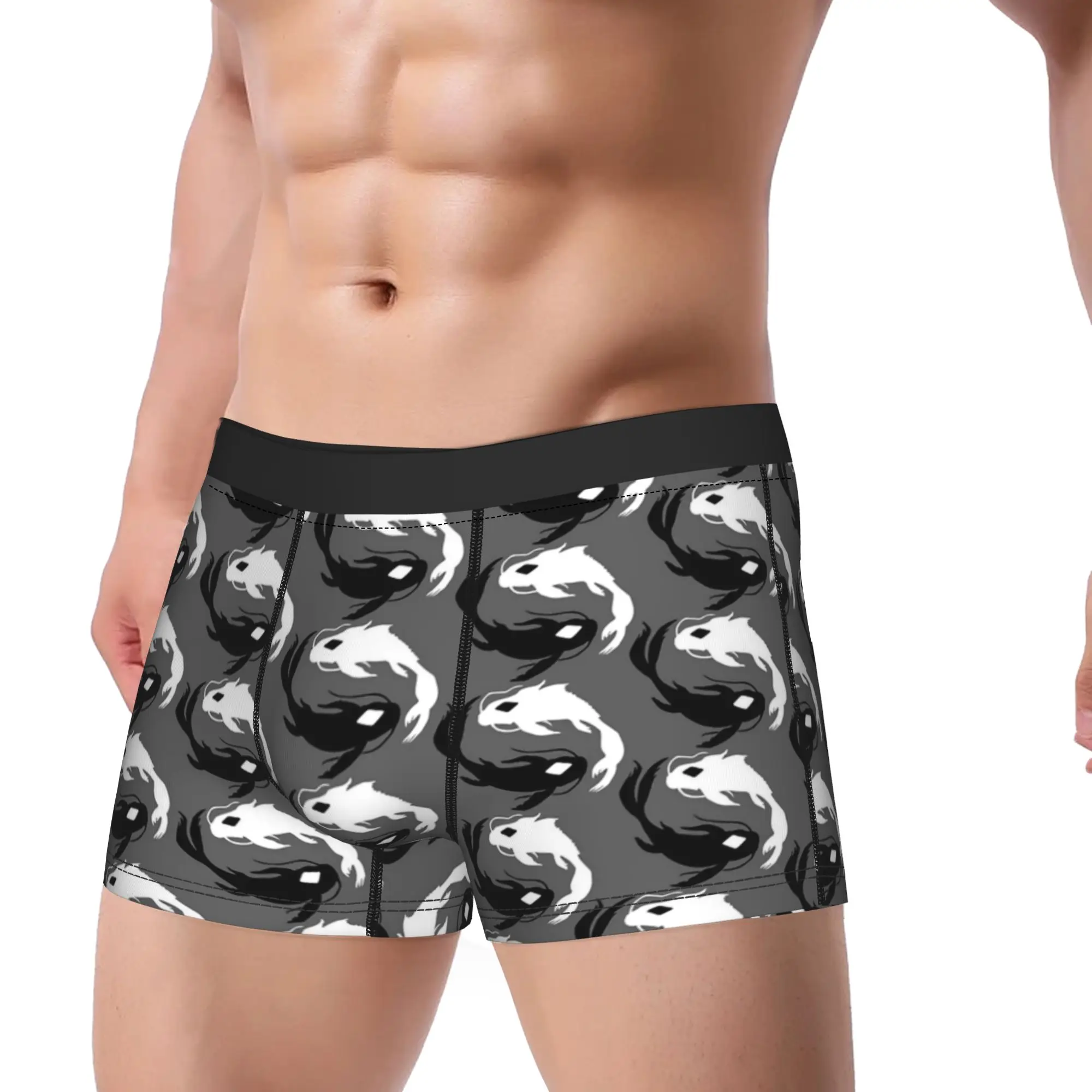 Avatars The Last Airbender Underwear  Man Shorts Briefs Novelty Boxershorts Trenky Printing Oversize Panties