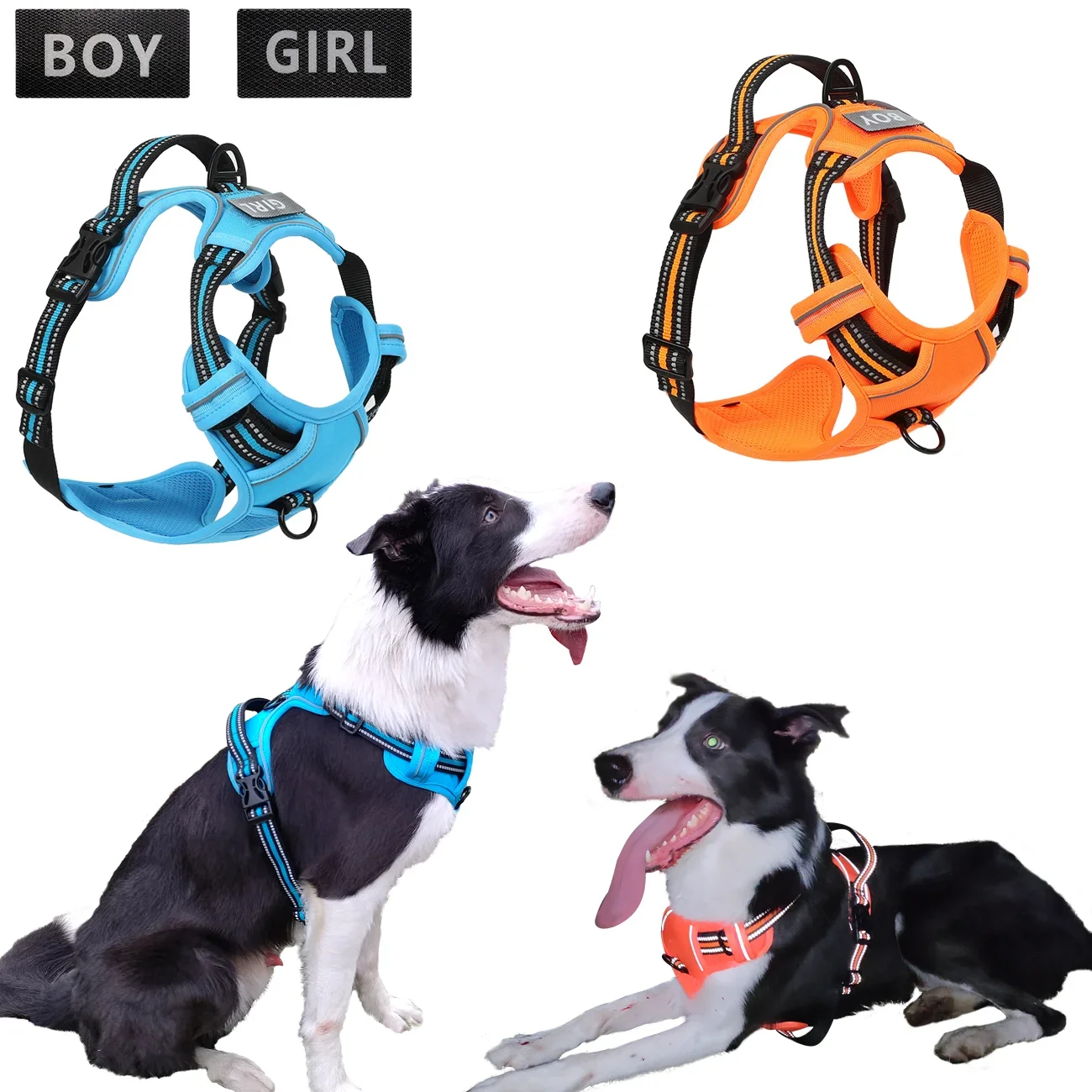 No-Pull Pet Harness with 2 Leash Clips, Adjustable Soft Padded Dog Vest, Reflective No-Choke Pet Oxford Vest with Control Handle