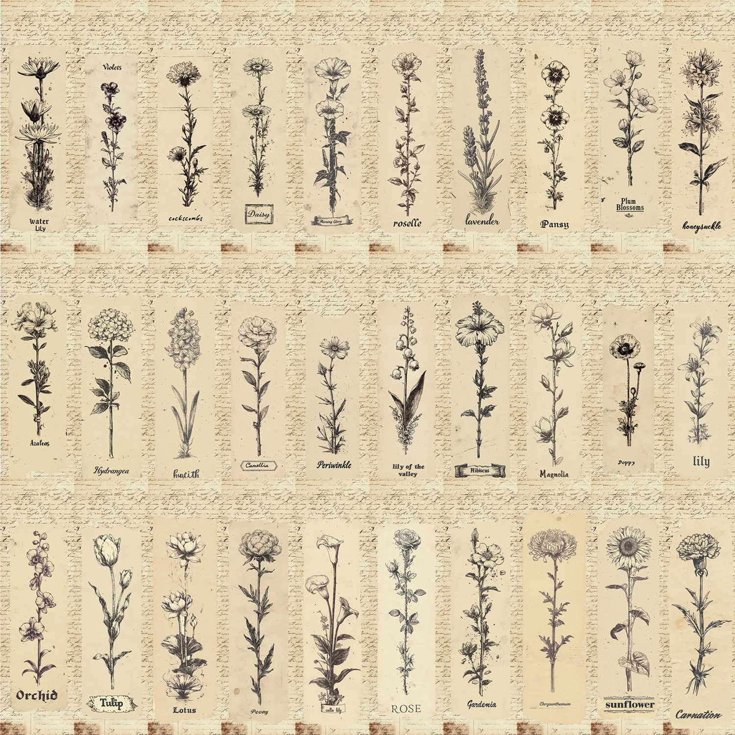 30Pcs/Set Vintage Botanical Bookmarks Antique Flower Floral Sketch Bookmark Cards Stationery Gift for Book Lovers Bibliophiles
