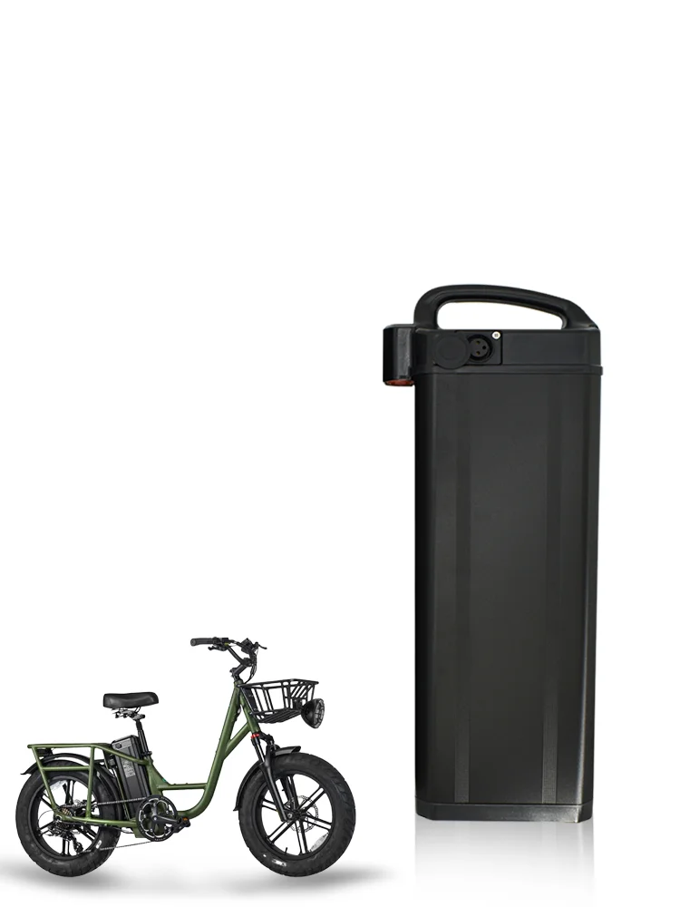AliExpress ACEBEI-POWER 48V 20.8Ah 30Ah Electric Bicycle Battery for Fiido T1 Pro FIIDO T2 Cargo Heybike Explore Vivi Z8 Ebike Battery Akku
