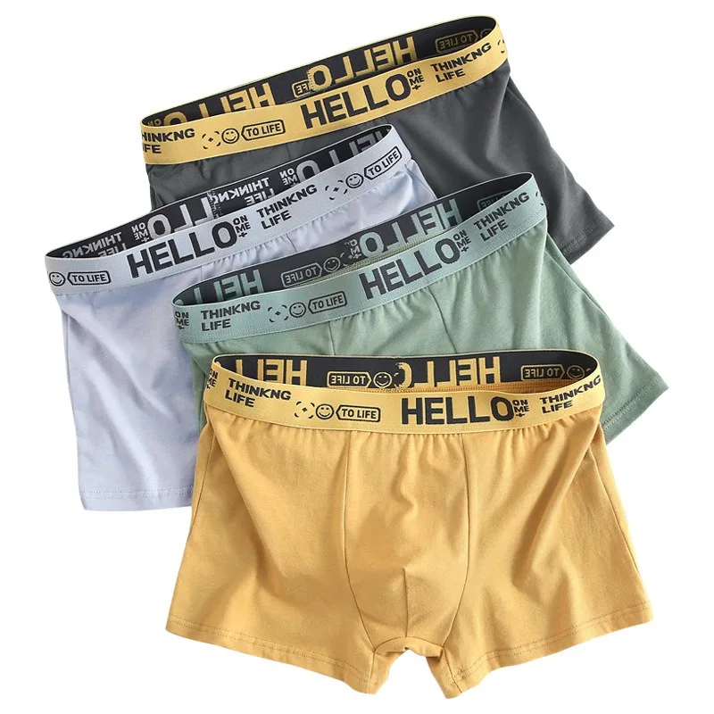 6 piezas de ropa interior para hombre, calzoncillos de algodón para hombre, bragas puras para hombre, pantalones cortos, calzoncillos Boxer transpirables, cómodos y suaves de talla grande