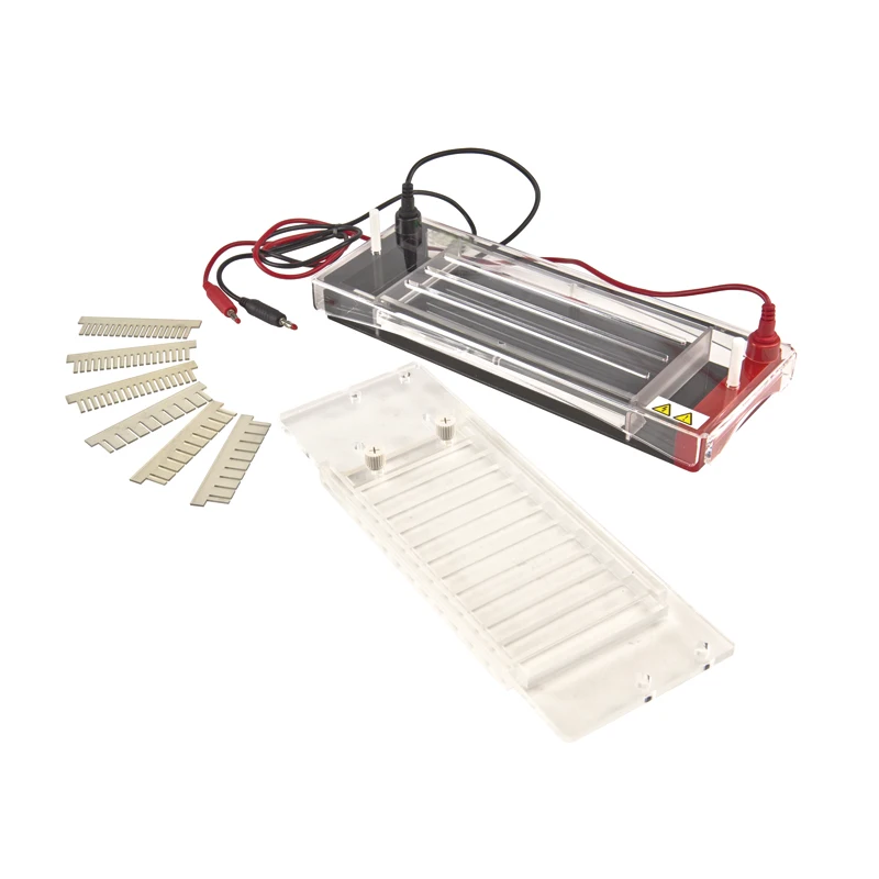 Faithful horizontal electrophoresis tank for testing
