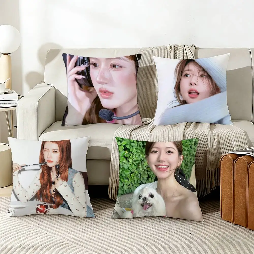 

Lusi Rosy Zhao Pillow Case Living Room Sofa Cushion Cover Suitable For Home Bedroom Room Decoration