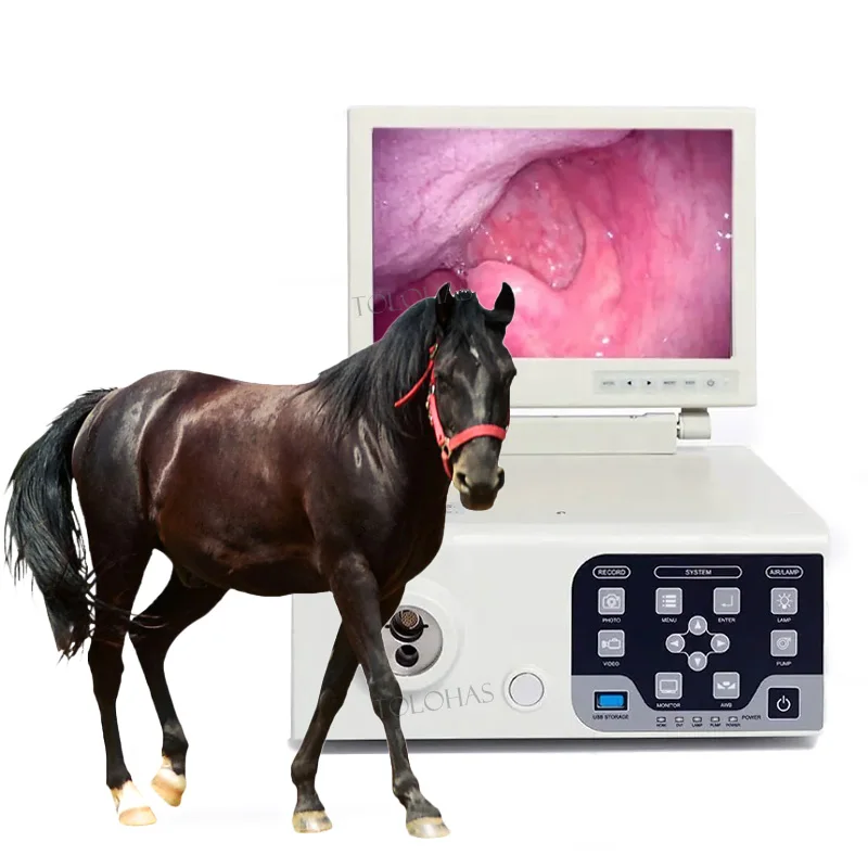 LHWV300F Medical Veterinary Endoscope Instrument Flexible Endoscope Camera System Video Gastroscope for Horse