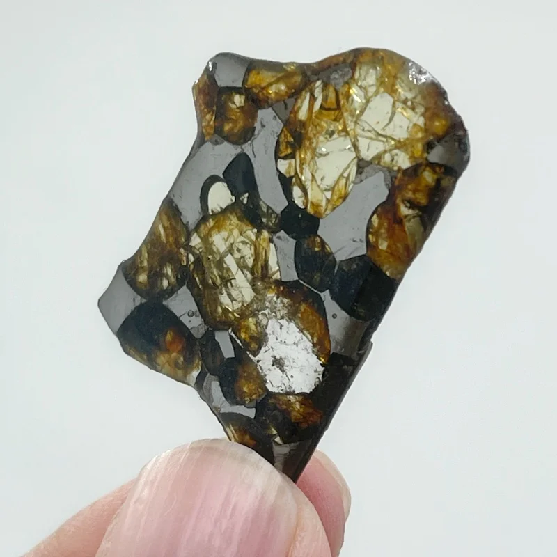 Seymchan Pallasite Meteorite Polished Small Irregular Slice Natural Olivine Inclusion Space Rock Display Specimen CA114