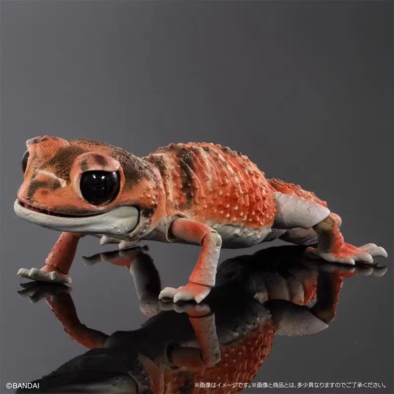 Original Bandai Big Biological Map Gashapon Reptile Tumor Tail Gecko Lizard Anime Animal Action Figure Model Toy Gift Collection