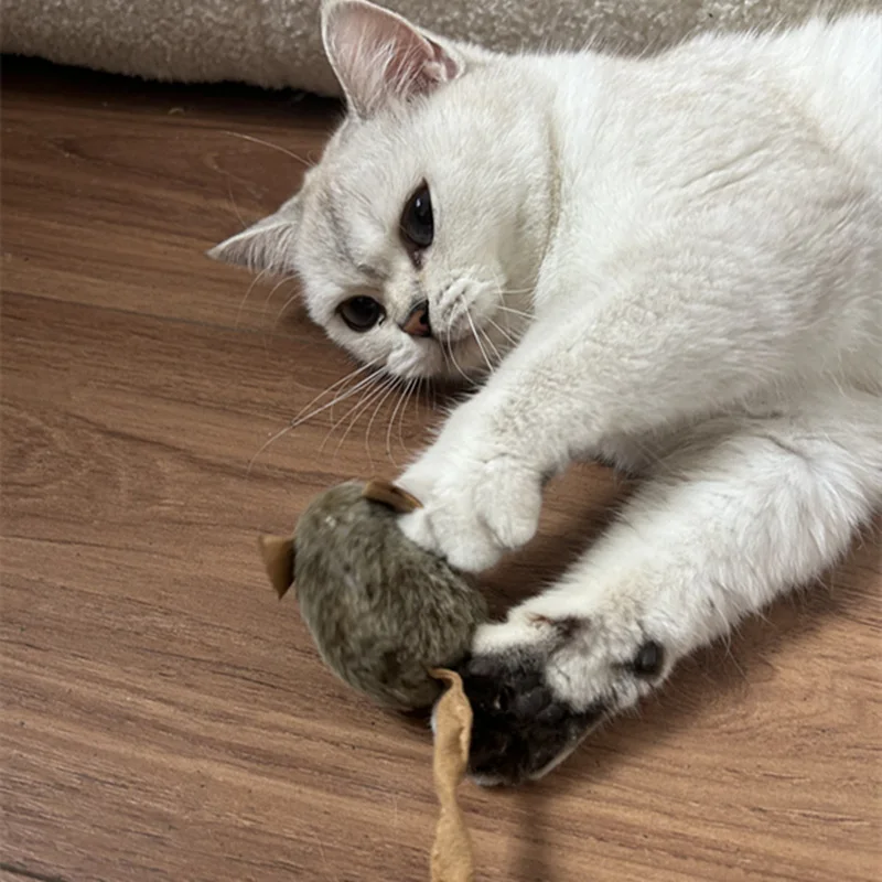 Interaktives Maus-Plüsch-Katzenspielzeug Quietschende Imitationsmäuse Bissresistentes Kätzchen-Spielzeug Interaktives Plüsch-Katzenspielzeug Zubehör – Detail 3